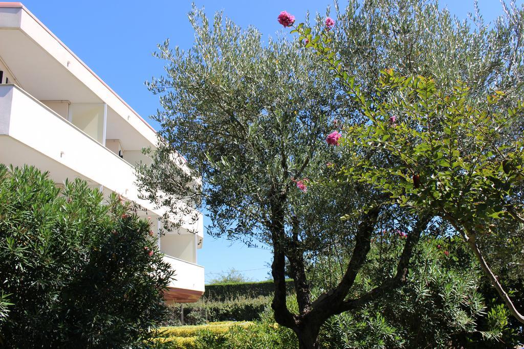 Eurobeach Residence Cavallino-Treporti Eksteriør billede