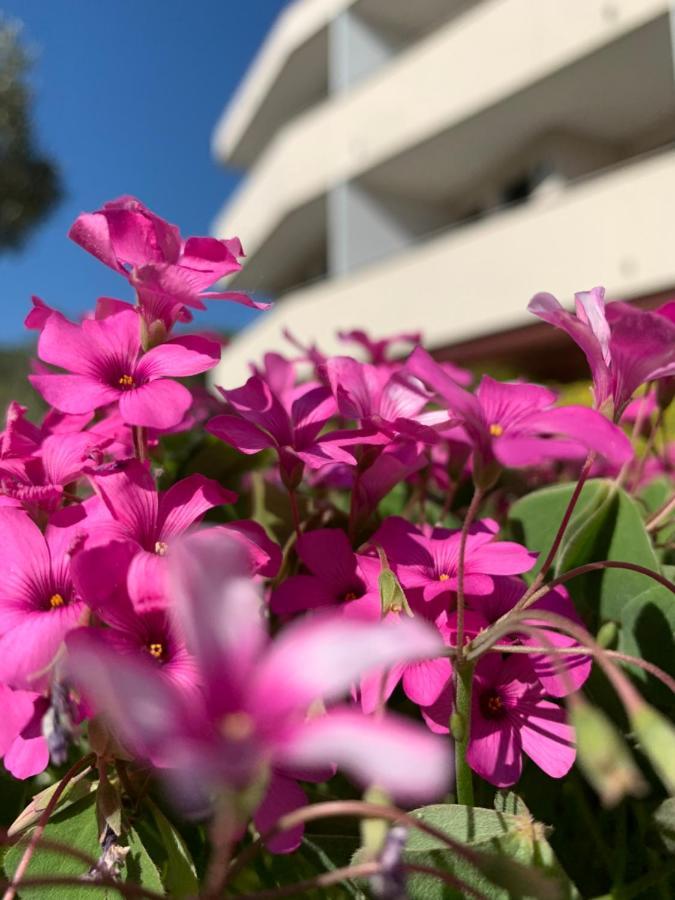 Eurobeach Residence Cavallino-Treporti Eksteriør billede